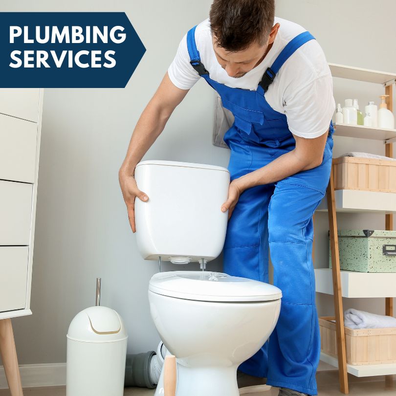 Plumbing Company in Bailey, MI